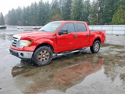 Ford Vehiculos salvage en venta: 2009 Ford F150 Supercrew