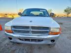 2000 Dodge Dakota Quattro