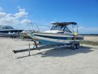 1975 Anacapri Marine Boat