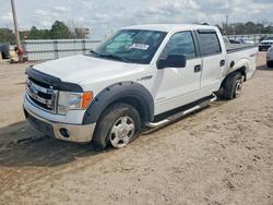 2013 Ford F150 Supercrew for sale in Newton, AL