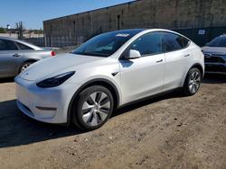 Tesla salvage cars for sale: 2024 Tesla Model y