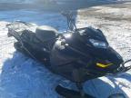 2026 Skidoo Skandic LE 900 ACE