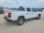 2023 Chev Colorado