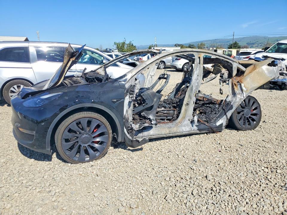 2024 Tesla Model y