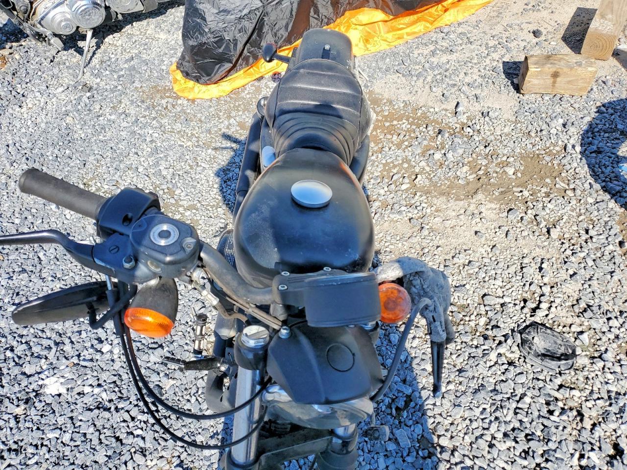 2019 Harley-Davidson XL883 N