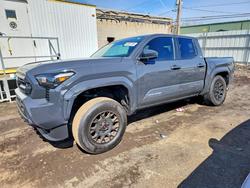 Salvage trucks for sale at New Britain, CT auction: 2025 Toyota Tacoma SR5
