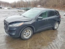 Ford salvage cars for sale: 2020 Ford Escape se