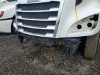 2019 Freigliner 2019 Freightliner ALL Models-Semi Truck
