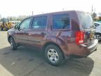 2011 Honda Pilot