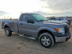 2010 Ford F150