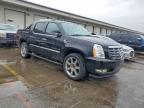 2010 Cadillac Escalade EXT Premium