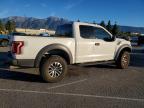 2020 Ford F150 Raptor
