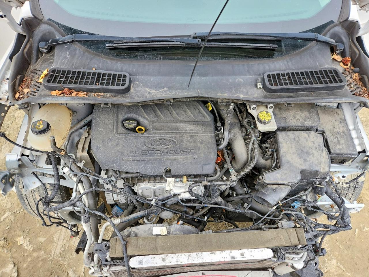 2019 Ford Escape sel