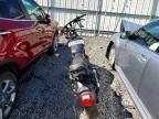 2004 Harley-Davidson XL883 C