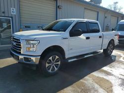 Ford f150 Supercrew salvage cars for sale: 2017 Ford F150 Supercrew