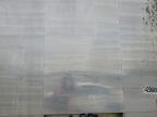 2005 Other Automobile 2005 Othe Transcraft