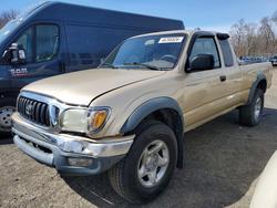Salvage trucks for sale at East Granby, CT auction: 2002 Toyota Tacoma V6