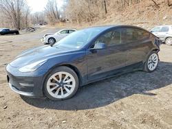 2022 Tesla Model 3 for sale in Marlboro, NY