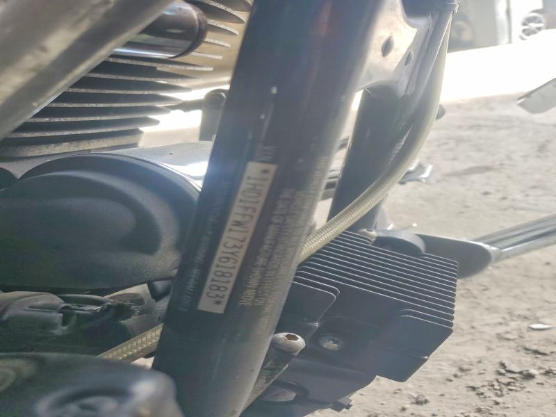 2003 Harley-Davidson Flhtci