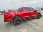 2025 Ford F150 XLT