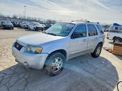 2005 Ford Escape Limited en venta en Fort Wayne, IN