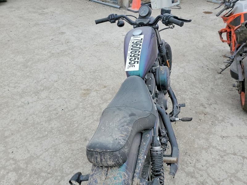 2019 Harley-Davidson XL883 N