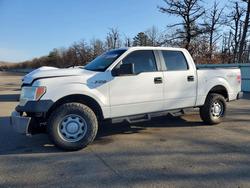 Ford salvage cars for sale: 2013 Ford F150 Supercrew
