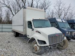 Peterbilt 536 box Truck salvage cars for sale: 2024 Peterbilt 536 BOX Truck