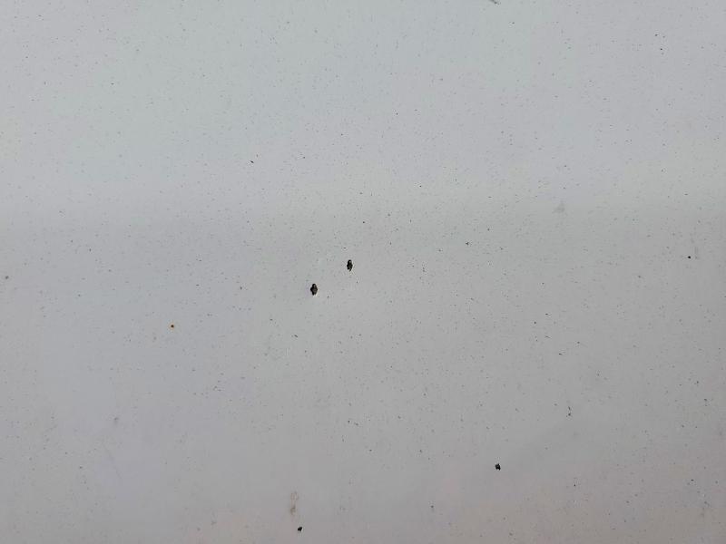 2022 Ford Transit Delivery Truck