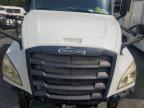 2019 Freightliner Cascadia 126