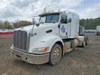 2014 Peterbilt 386