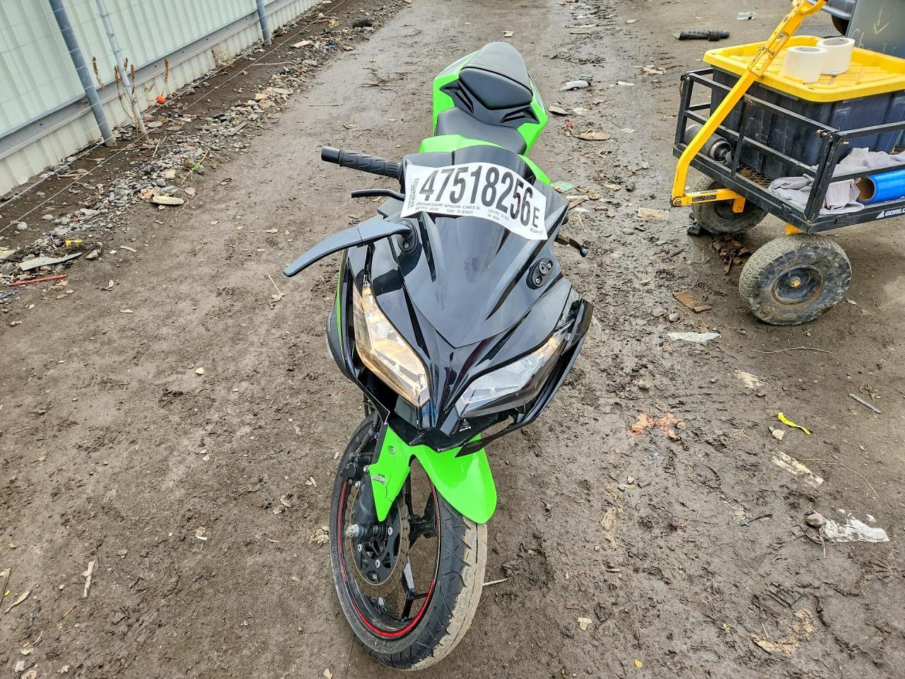 2014 Kawasaki EX300 A