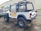 1992 Jeep Wrangler / yj s