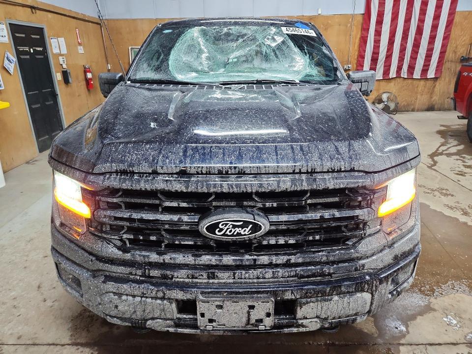 2025 Ford F150 XLT