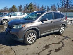 Honda Vehiculos salvage en venta: 2014 Honda Cr-v exl