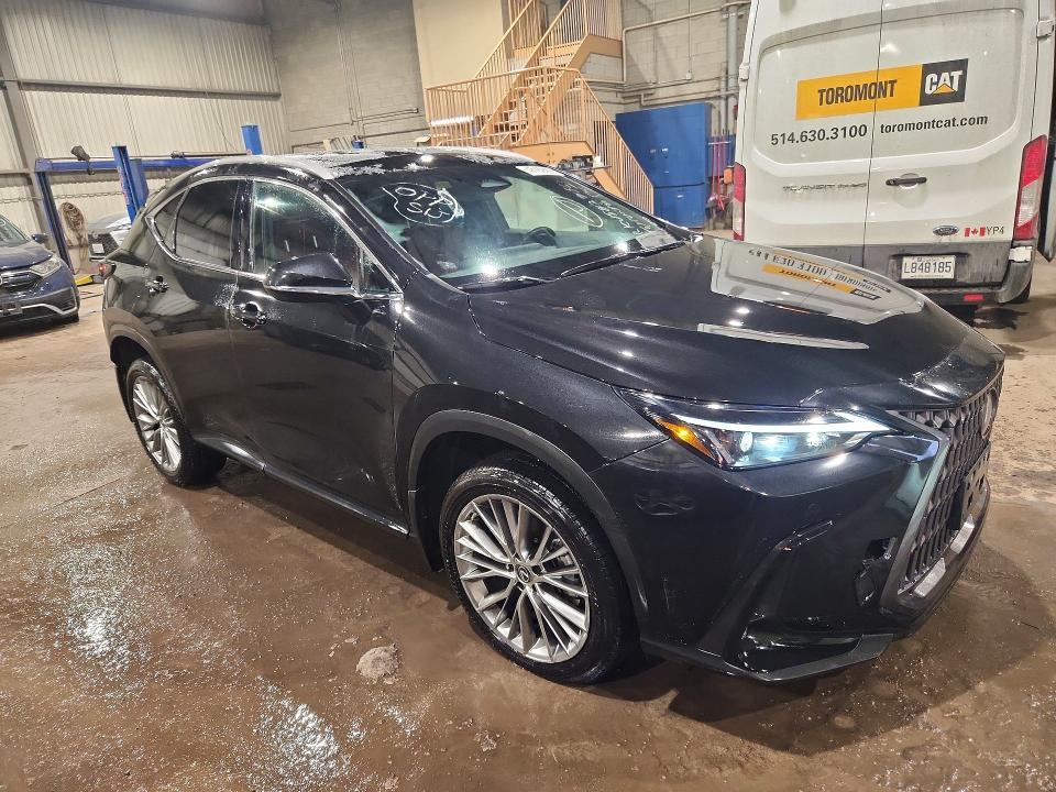 2023 Lexus Nx 350 Premium