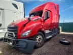 2019 Freightliner Cascadia 126