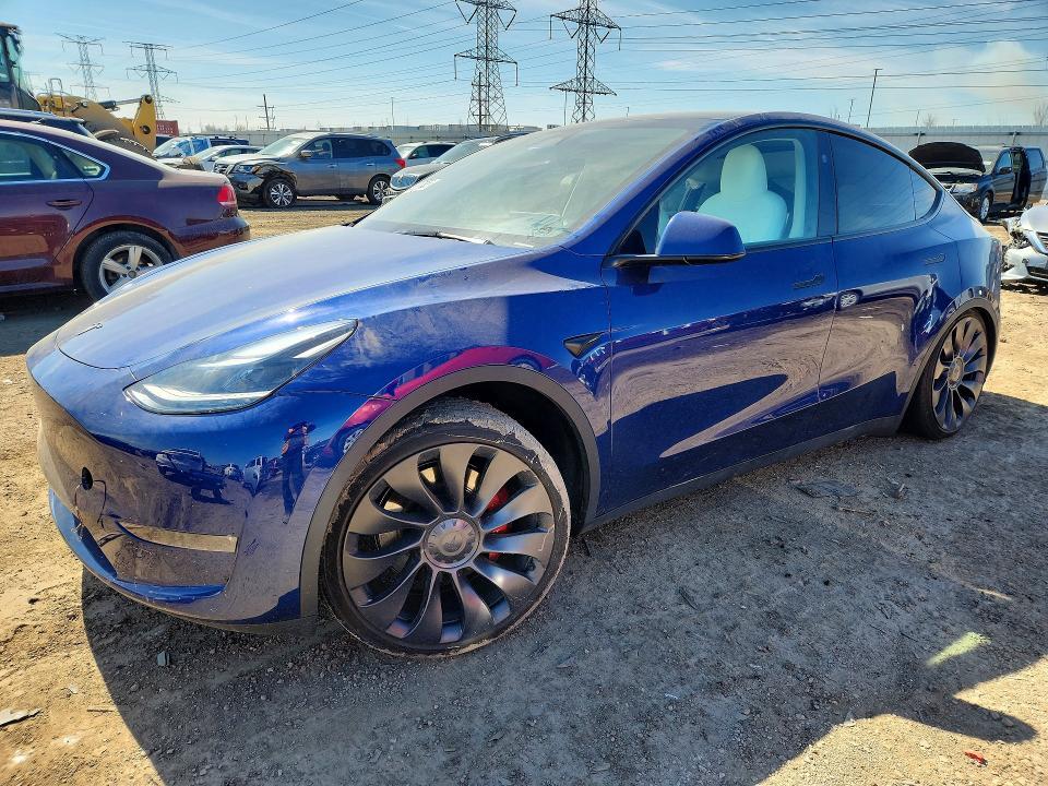 2024 Tesla Model y