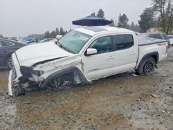 Toyota salvage cars for sale: 2020 Toyota Tacoma TRD OFF-Road