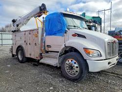 Vehiculos salvage en venta de Copart Leroy, NY: 2025 Peterbilt 536 Utility / Service Truck