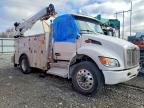 2025 Peterbilt 536 Utility / Service Truck