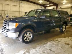 Ford salvage cars for sale: 2013 Ford F150 Supercrew
