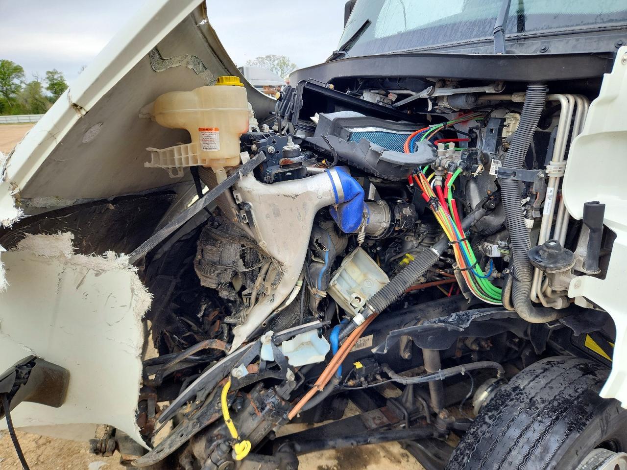 2020 Freightliner Cascadia Semi Truck