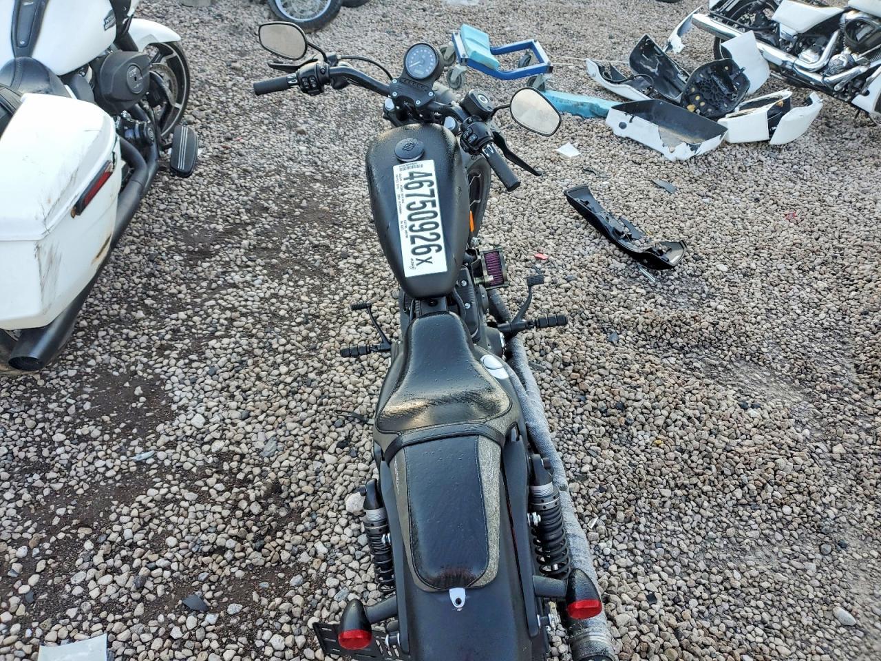 2020 Harley-Davidson XL883 N