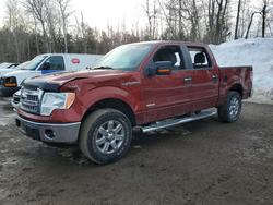 Salvage trucks for sale at Cookstown, ON auction: 2014 Ford F150 Supercrew