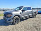 2025 Ford F150 XLT