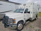 2023 International CV515