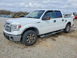 2014 Ford F150 Supercrew en venta en Memphis, TN