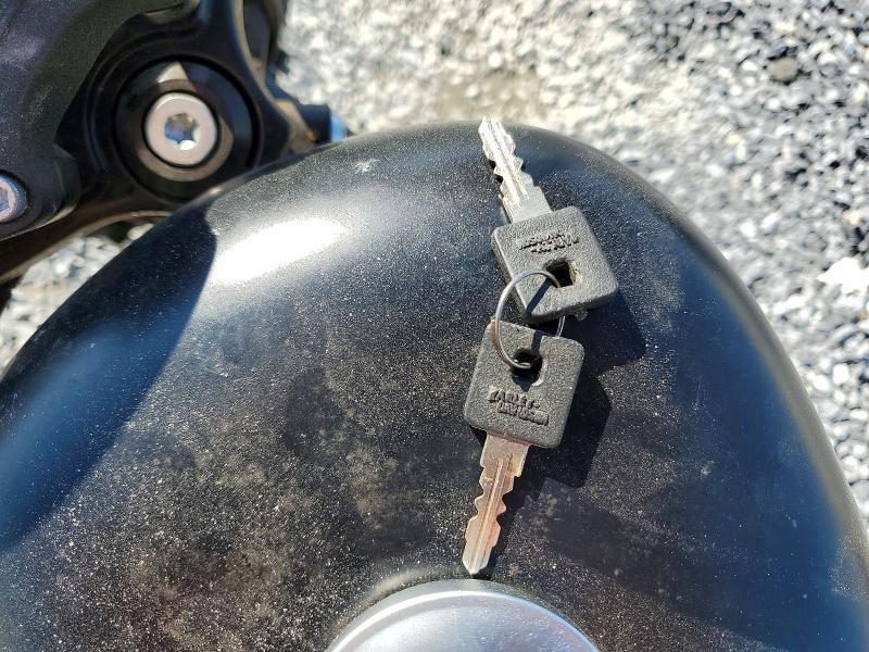 2019 Harley-Davidson XL883 N