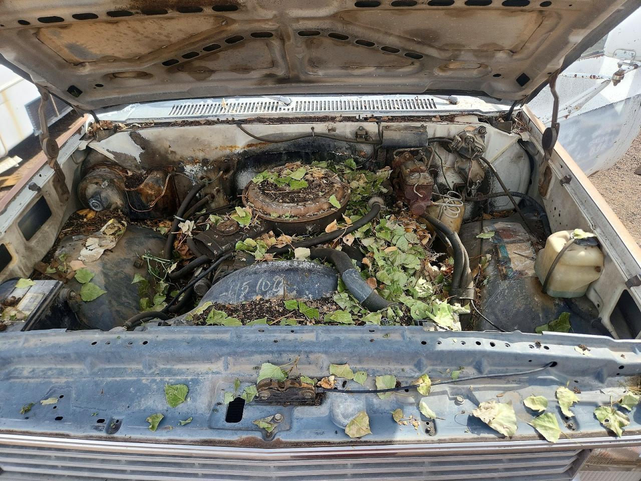 1983 Chev C30